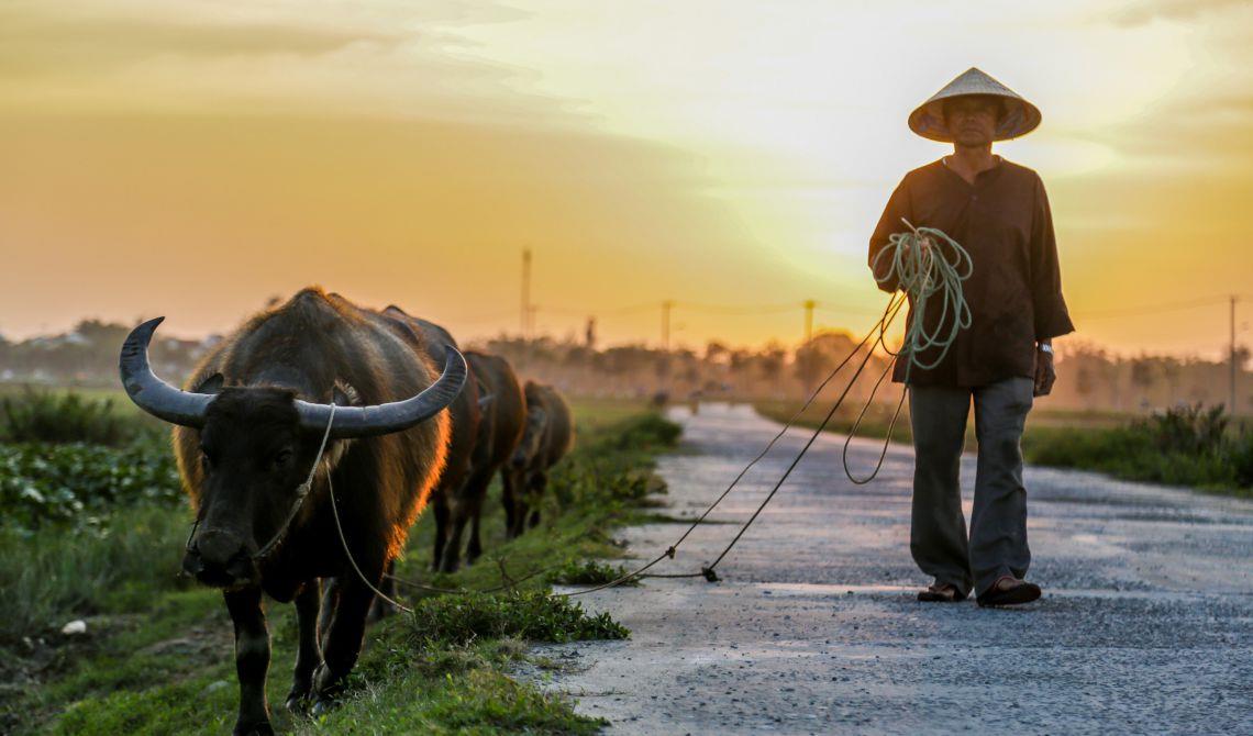 7 HOURS HOI AN EXPLORE COUNTRYSIDE PRIVATE