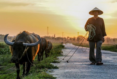 7 HOURS HOI AN EXPLORE COUNTRYSIDE PRIVATE