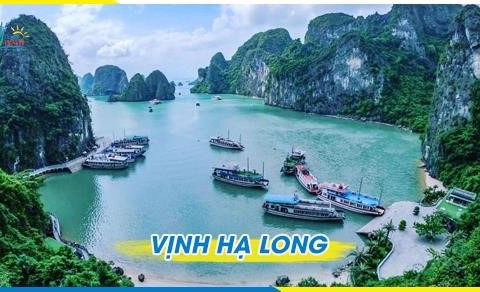 Halong Bay 1 day group tour