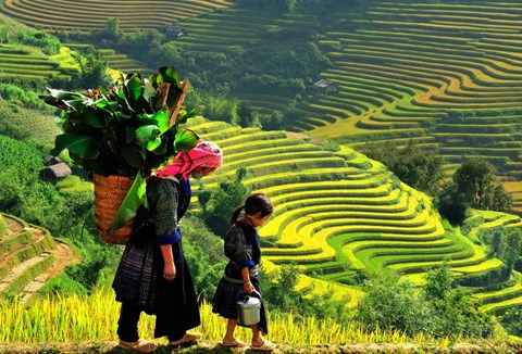 Sa Pa Trekking - 1 night Homestay- (2days- 3nights)