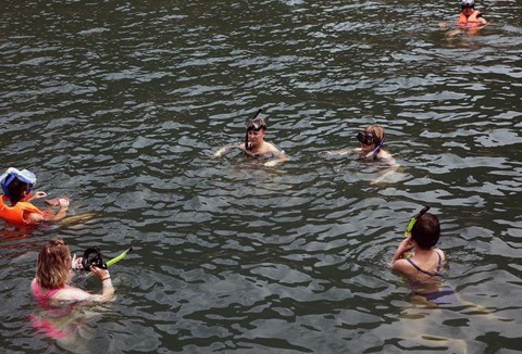 1 DAY SNORKELING IN CHAM ISLAND